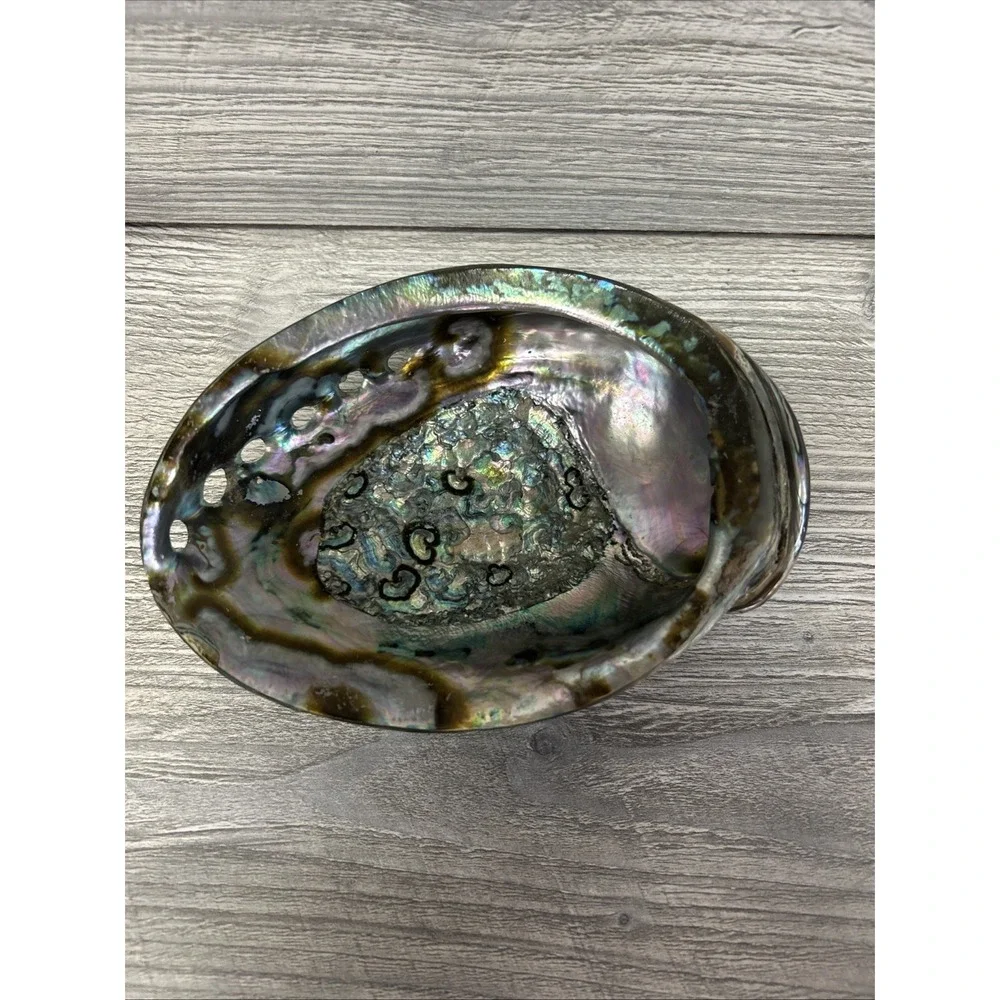 Large Abalone Seashell Iridescent Bowl Beach Home‎ Decor Pearl A3